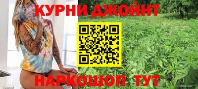 гидра Волгодонск