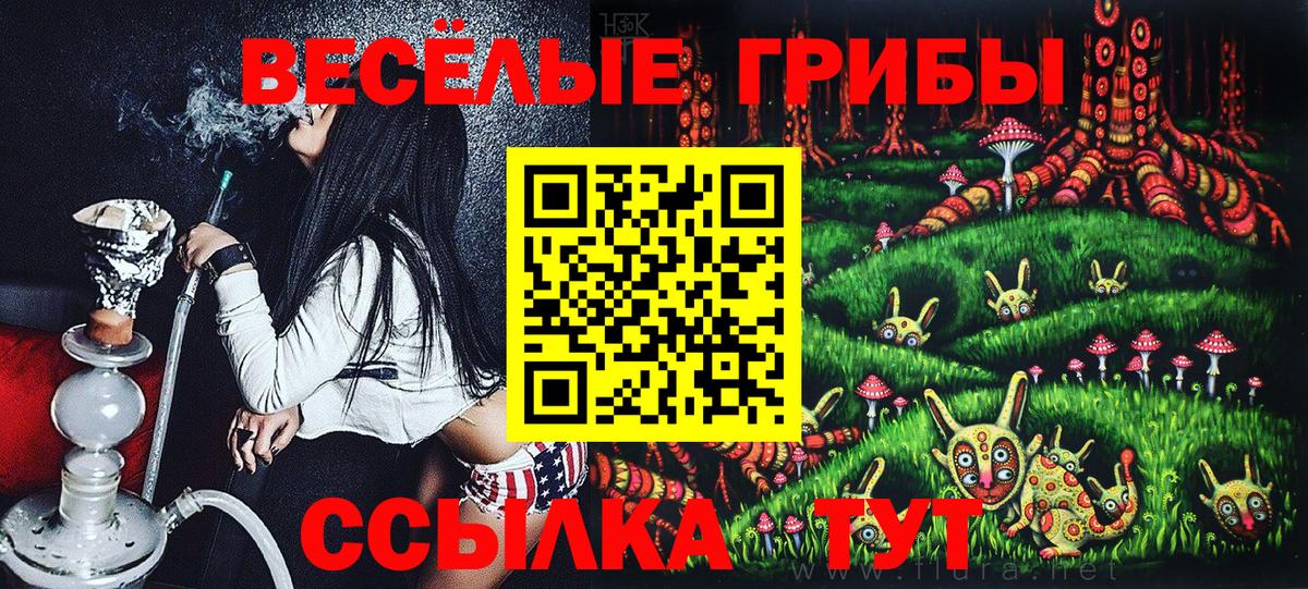 Галлюциногенные грибы MAGIC MUSHROOMS  Вход с VPN  Одинцово  Галлюциногенные грибы GOLDEN TEACHER 